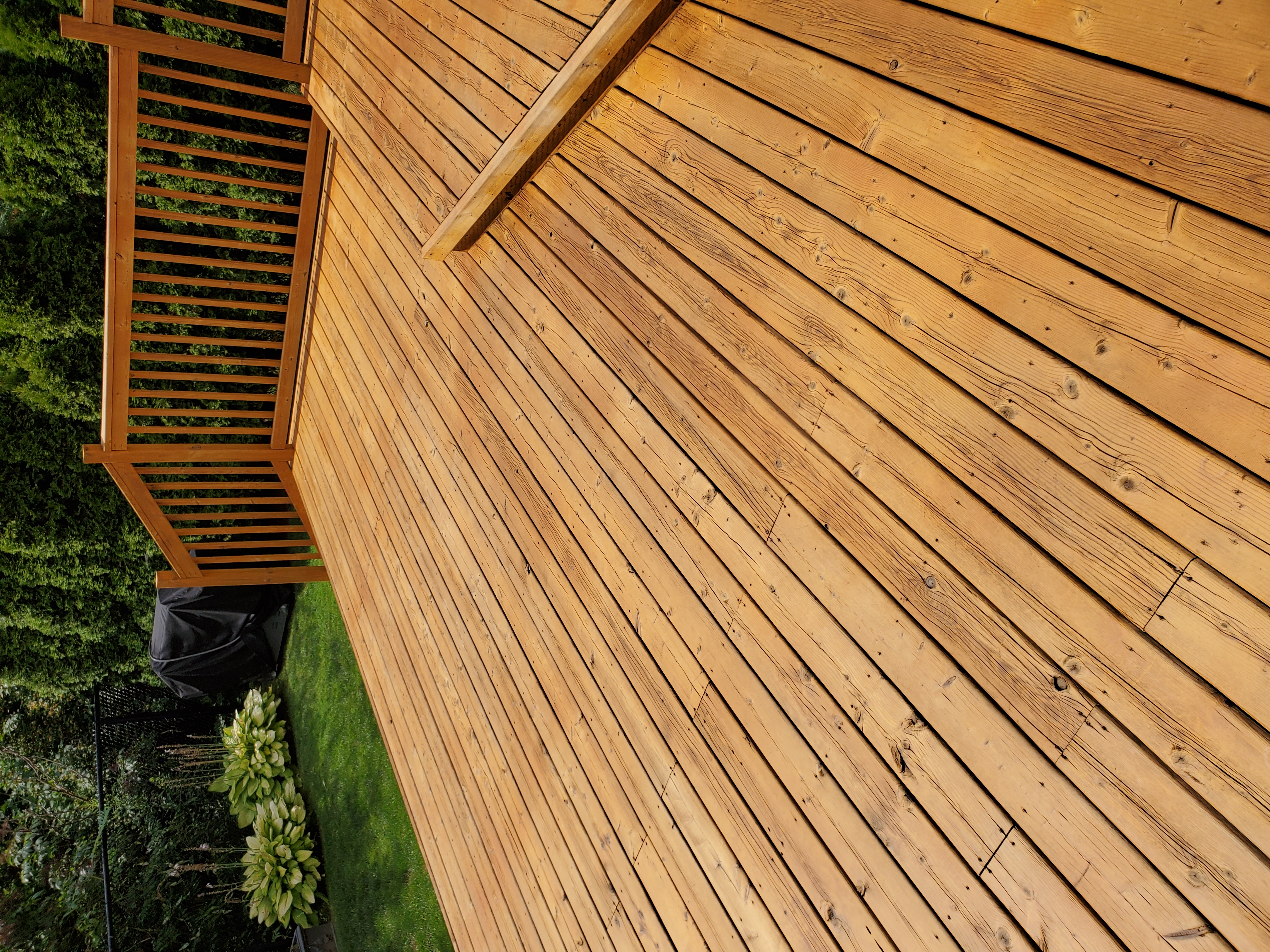 Deck after — rich honey gold 2-coat stain